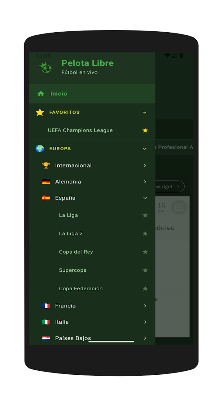 Pelota Libre screenshot
